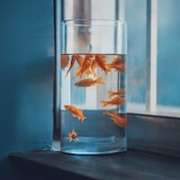 Ảnh đại diện Trần Thị Mỹ Linh